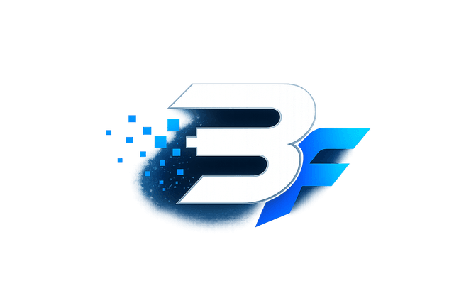 Byte Force Solutions